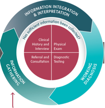 This diagram displays an inner circle divided into quarters called Clinical History and Interview, Physical Exam, Referral and Consultation, and Diagnostic Testing. Surrounding this circle is the question "Has sufficient information been collected?" An outer circle is divided into three sections including Information, Integration & Interpretation, Working Diagnosis, and Information Gathering, with arrows between each section. The subtext is that once sufficient information has been collected, can move on.  